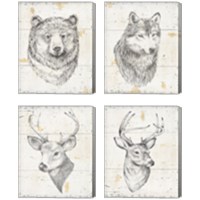 Framed 'Wild and Beautiful 4 Piece Canvas Print Set' border=