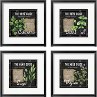 Framed Herb Guide 4 Piece Framed Art Print Set