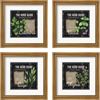 Framed 'Herb Guide 4 Piece Framed Art Print Set' border=