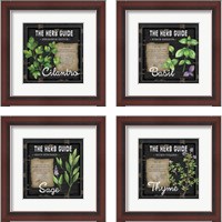 Framed Herb Guide 4 Piece Framed Art Print Set
