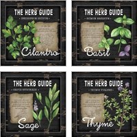 Framed Herb Guide 4 Piece Art Print Set