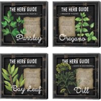 Framed 'Herb Guide 4 Piece Canvas Print Set' border=