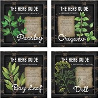 Framed Herb Guide 4 Piece Art Print Set