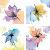 Framed Watercolor Graphite Flower 4 Piece Art Print Set