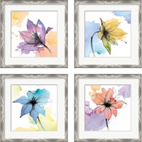Framed 'Watercolor Graphite Flower 4 Piece Framed Art Print Set' border=