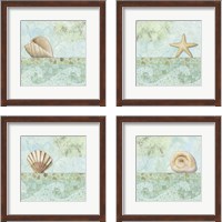 Framed Spa Shells 4 Piece Framed Art Print Set