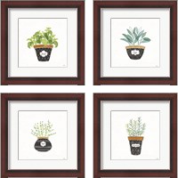 Framed 'Fine Herbs  4 Piece Framed Art Print Set' border=