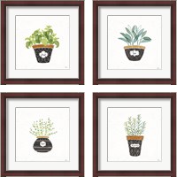 Framed 'Fine Herbs  4 Piece Framed Art Print Set' border=
