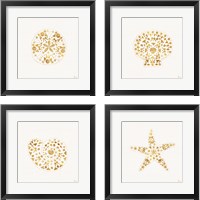 Framed Sea Charms 4 Piece Framed Art Print Set