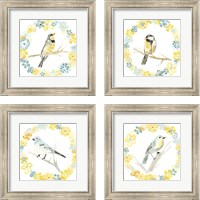 Framed Solo Songbird  4 Piece Framed Art Print Set