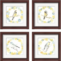 Framed Solo Songbird  4 Piece Framed Art Print Set