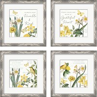 Framed 'Citron Curiosities 4 Piece Framed Art Print Set' border=