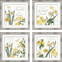 Framed Citron Curiosities 4 Piece Framed Art Print Set