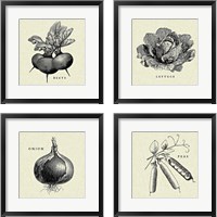 Framed Linen Vegetable 4 Piece Framed Art Print Set