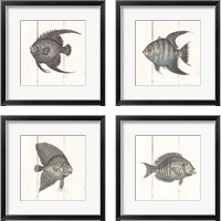 Framed Fish Sketches Shiplap4 Piece Framed Art Print Set