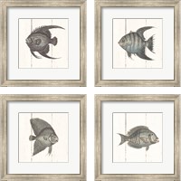 Framed Fish Sketches Shiplap4 Piece Framed Art Print Set