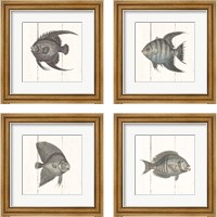 Framed 'Fish Sketches Shiplap4 Piece Framed Art Print Set' border=