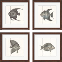 Framed 'Fish Sketches Shiplap4 Piece Framed Art Print Set' border=