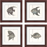 Framed 'Fish Sketches Shiplap4 Piece Framed Art Print Set' border=
