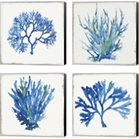 Framed 'Blue and Green Coral  4 Piece Canvas Print Set' border=