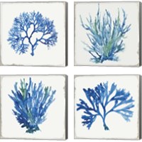 Framed Blue and Green Coral  4 Piece Canvas Print Set