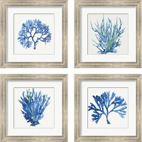 Framed 'Blue and Green Coral  4 Piece Framed Art Print Set' border=