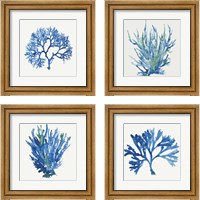 Framed Blue and Green Coral  4 Piece Framed Art Print Set