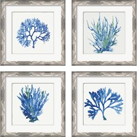 Framed 'Blue and Green Coral  4 Piece Framed Art Print Set' border=