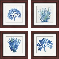 Framed 'Blue and Green Coral  4 Piece Framed Art Print Set' border=