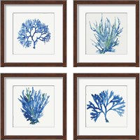 Framed Blue and Green Coral  4 Piece Framed Art Print Set