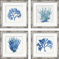 Framed 'Blue and Green Coral  4 Piece Framed Art Print Set' border=