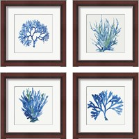 Framed 'Blue and Green Coral  4 Piece Framed Art Print Set' border=