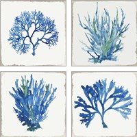 Framed Blue and Green Coral  4 Piece Art Print Set