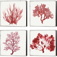 Framed Red Coral 4 Piece Canvas Print Set