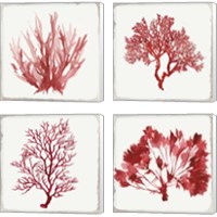 Framed 'Red Coral 4 Piece Canvas Print Set' border=
