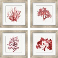 Framed 'Red Coral 4 Piece Framed Art Print Set' border=