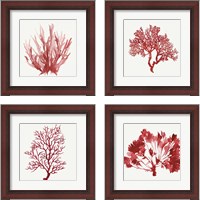 Framed 'Red Coral 4 Piece Framed Art Print Set' border=