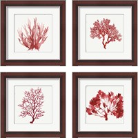 Framed Red Coral 4 Piece Framed Art Print Set