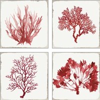 Framed Red Coral 4 Piece Art Print Set