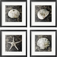 Framed 'Marble Shell  4 Piece Framed Art Print Set' border=