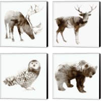 Framed Wildlife 4 Piece Canvas Print Set