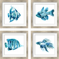 Framed Fish 4 Piece Framed Art Print Set