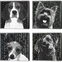 Framed BW Dog 4 Piece Canvas Print Set