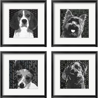 Framed 'BW Dog 4 Piece Framed Art Print Set' border=