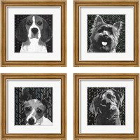 Framed BW Dog 4 Piece Framed Art Print Set