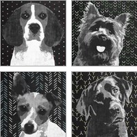 Framed 'BW Dog 4 Piece Art Print Set' border=