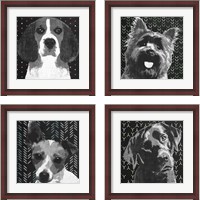 Framed BW Dog 4 Piece Framed Art Print Set