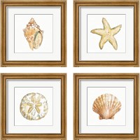 Framed Golden Treasures on White 4 Piece Framed Art Print Set