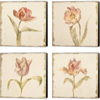 Framed 'Vintage Tulip 4 Piece Canvas Print Set' border=