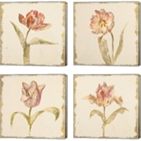 Framed 'Vintage Tulip 4 Piece Canvas Print Set' border=